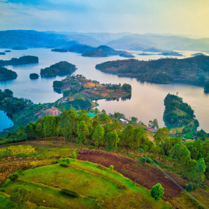 Bwindi’s Gorilla Trekking & Lake Bunyonyi Leisure